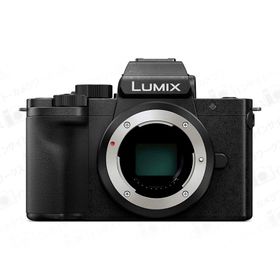 パナソニック LUMIX DC-G100