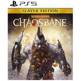 ウォーハンマー：Chaosbane Slayer Editionのメイン画像