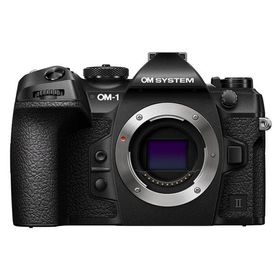 中古 1年保証 美品 OLYMPUS OM SYSTEM OM-1 Mark II ボディ