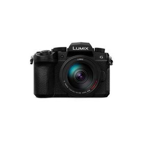 【長期5年保証付】パナソニック(Panasonic) LUMIX DC-G99M2H 高倍率ズームレンズキット マイクロフォーサーズ デジタル一眼カメラ