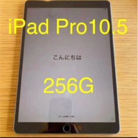 iPadpro10.5インチWi-Fiモデル256GアップルApple匿名配送