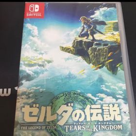 ニンテンドウ(任天堂)のゼルダの伝説 ティアーズ オブ ザ キングダム/Switch/HACPAXN7A(家庭用ゲームソフト)