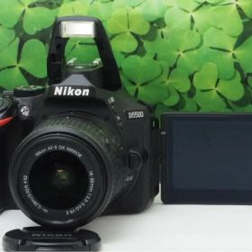 【美品】Wifi搭載❤️自撮りOK ニコンD5500 2416万画素 標準レンズ