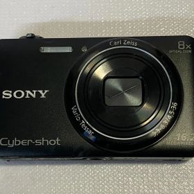 SONY DSC-WX60#344