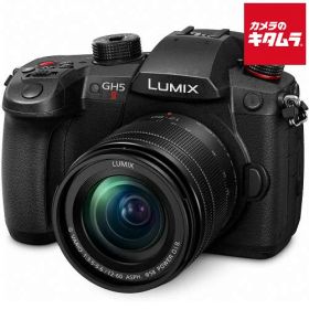 パナソニック LUMIX DC-GH5M2M レンズキット ブラック マイクロフォーサーズ ミラーレス一眼 標準ズーム 4K 《納期約3－4週間》