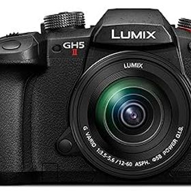 【中古】［非常に良い］パナソニック(Panasonic) ミラーレス一眼カメラ ルミックス GH5M2 レンズキット 標準ズームレンズ付属 ブラック DC-GH5M2M