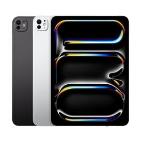 iPad Pro 11インチ（M5) Wi-Fi + Cellular 512GB 端末のみ ランクA