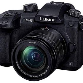 【中古】パナソニック(Panasonic) ミラーレス一眼カメラ ルミックス GH5 レンズキット 標準ズームレンズ付属 ブラック DC-GH5M-K