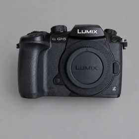 即日発送【極美品】LUMIX GH5