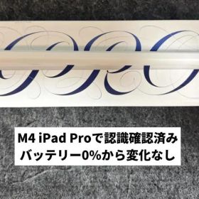 Apple Pencil Pro 充電不可 0% ジャンク