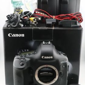 ★美品★ショット数：33,126回★キヤノン CANON EOS-1D X 元箱・充電器付★ I0949＃5832