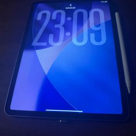 iPad Pro 11インチ 第4世代 256GB Wi-Fiモデル【訳あり】