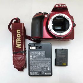 【期間限定セール】ニコン Nikon APS-CセンサーFマウントデジタル一眼レフ D3200
