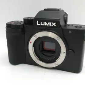 Panasonic LUMIX DC-G100 ボディ
