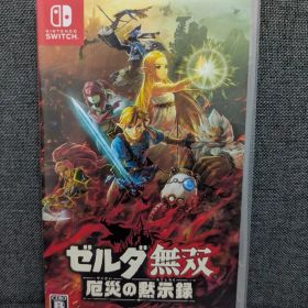 ゼルダ無双 厄災の黙示録 任天堂 Switch ソフト