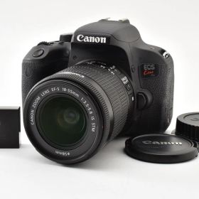 ★外観美品★ 《ショット数 21975回》 キヤノン CANON EOS Kiss X9i + EF-S 18-55mm IS STM 現状品#3093