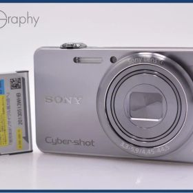 【動作保証】 ソニー SONY Cyber-shot DSC-WX200 10x バッテリー付属 同梱無料 #ks1430
