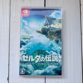 Nintendo Switch ゼルダの伝説 ティアーズオブザキングダム