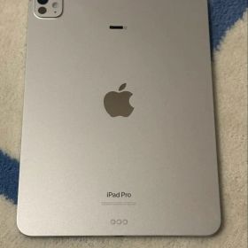 iPad pro 512G M4 11インチ