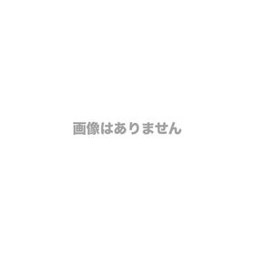 GoPro CHDHZ311FW MAX2
