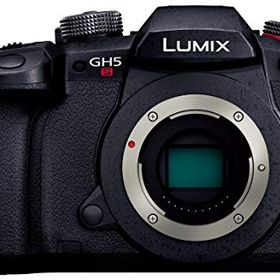 【中古】【非常に良い】パナソニック ミラーレス一眼カメラ ルミックス GH5S ボディ ブラック DC-GH5S-K