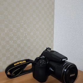 Nikon COOLPIX P950 24-2000mm (83x Zoom)