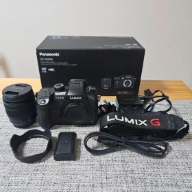 【週末セール】LUMIX DC-GH5 標準ズームレンズキット バッテリー2個