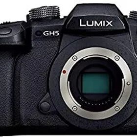 【中古】パナソニック ミラーレス一眼カメラ ルミックス GH5 ボディ ブラック DC-GH5-K