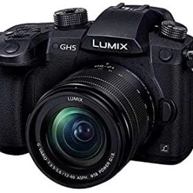 【中古】「非常に良い」パナソニック ミラーレス一眼カメラ ルミックス GH5 レンズキット 標準ズームレンズ付属 ブラック DC-GH5M-K