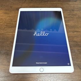 Apple iPad Air (第3世代) 256GB