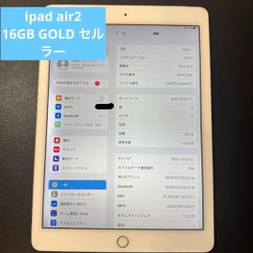 iPad Air2 16GB Cellular セルラー docomo