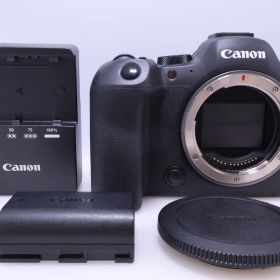 【6,000回以下 極美品】 Canon EOS R6 Mark II ボディ EOSR6MK2 ミラーレスカメラ