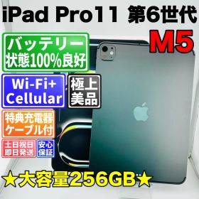 iPad Pro 11インチ 第6世代 M5 256GB 【2025年発売モデル】バッテリー100% スペースブラック Cellularモデル 中古 本体 動作確認済 【最短送料無料】J-098