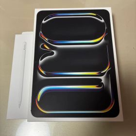 Apple iPad Pro 15M 11インチ Wi-Fiモデル おまけ付き