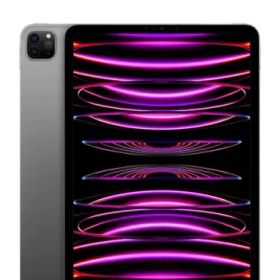 Apple SoftBank 【SIMフリー】 11インチ iPad Pro（第4世代/2022） 512GB スペースグレイ MNYG3J/A