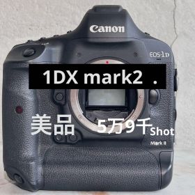 【美品】 Canon EOS- 1DX mark2本体 バッテリー2個付