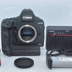 1404★美品・ショット数16000回以下★Canon デジタル一眼レフカメラ EOS-1D X Mark II ボディ