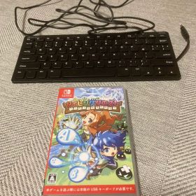 ハ*ん様 タイピングクエスト Nintendo Switch ソフト