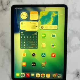 iPad Pro 11インチ 第1世代/2018 SIMフリー 512G グレイ