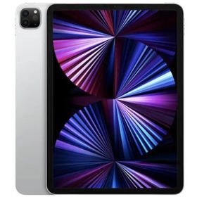 超美品 国内版 iPad Pro 11インチ 第3世代 256GB Wi-Fi版 シルバー色 Apple Pencil 付き