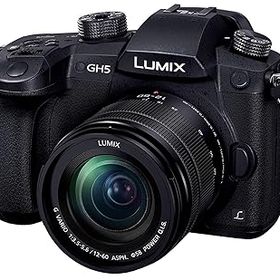 【中古】【39shop】パナソニックPanasonic★ミラーレス一眼カメラ ルミックス GH5 レンズキット 標準ズームレンズ ブラック DC-GH5M-K（良い）