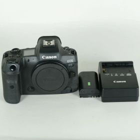 [良品 | シャッター数82,235回] Canon EOS R5 | Canon RFマウント