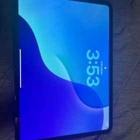 Apple iPad Pro(M4) 11インチ第五世代256GB 本体