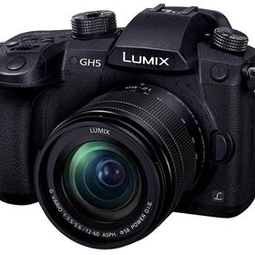 【中古】 パナソニック Panasonic ミラーレス一眼カメラ ルミックス GH5 レンズキット 標準ズームレンズ付属 ブラック DC-GH5M-K 当店保証30日間 人気 ミラーレス一眼 ミラーレス デジタルカメラ 中古