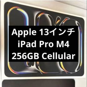 iPad Pro 13インチ M4 wifi+cellular