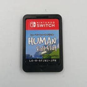 ヒューマン フォール フラット HAC-P-AFJWJ NINTENDO