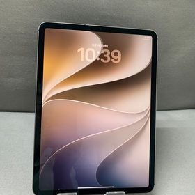 美品 国内版 SIMフリー iPad Pro 11インチ 第2世代 128GB Cellular版