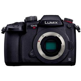 【中古】パナソニック ミラーレス一眼カメラ ルミックス GH5S ボディ ブラック DC-GH5S-K