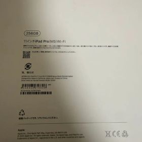 極美品 ほぼ未使用 iPad Pro 11インチ M5 256GB ブラック