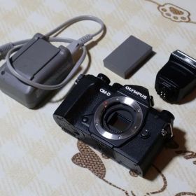 OLYMPUS OM-D E-M5 MARKiiiミラーレス一眼 美品 ケース付